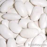 Sell flat type white kidney beans