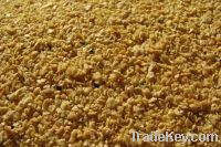 Sell soybean meal for animal feed