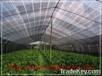 Sell Sun Shade Net for agriculture