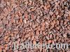 Sell Cocoa Seed