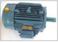 Sell Y2 SERIES THREE PHASE INDUCTION MOTOR)