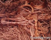 Copper Wire Scraps Suppliers | Copper Scrap Exporters | Copper Scrap Manufacturers | Cheap Copper Scrap | Wholesale Copper Scraps | Discounted Copper Scrap | Bulk Copper Scraps | Copper Scrap Buyer | Import Copper Scrap | Copper Scrap Importers | Copper S