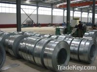 Sell galvanizd steel coil