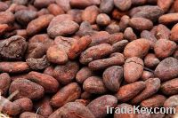 Sell Good Fermented Cocoa Beans Of Premium Grade