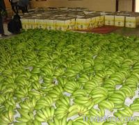 Sell Fresh fruits , fuji apple , cavandish bannana, lemon , lime and