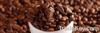 Export Coffee Beans | Arabica Coffee Beans Suppliers | Robusta Coffee Beans Exporters | Coffee Bean Traders | Wholesale Coffee Beans | Buy Coffee Beans | Bulk Coffee Bean | Green Coffee Bean Buyer | Low Price Roasted Coffee Bean | Import Coffee Bean | Cof