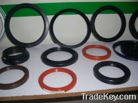 Sell Rotary & Shaft & Rod Seal (BEST579)