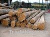 Sell Quality African Hard Wood Timber(Logs & Lumber) Ready