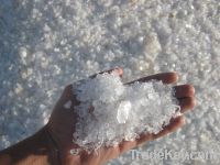 Sodium Chloride (Siwa Salt)