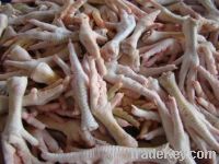  Export Chicken Paw | Chicken Feet Suppliers | Poultry Feet Exporters | Chicken Feets Traders | Processed Chicken Paw Buyers | Frozen Poultry Paw Wholesalers | Low Price Freeze Chicken Paw | Best Buy Chicken Paw | Buy Chicken Paw | Import Chicken Paw | Ch