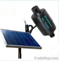 Sell DC Brushless Solar Pump - 12V