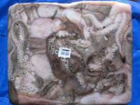 Sell FROZEN OCTOPUS WHOLE ROUND - CHEAPEST PRICE