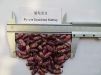 Sell Purple Speckled Kidney bean