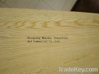 Sell Pine plywood