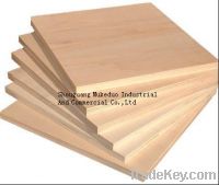 Sell Poplar plywood