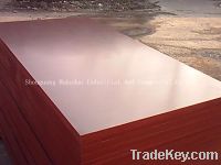 Sell Red Film Faced Plywood