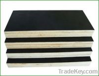 Sell  black film faced plywood