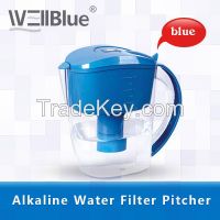 wellblue water filter jar