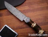 Damascus Carbon Steel Hunting / Chef knife with Deer Horn handle