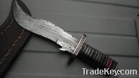 Sell damascus hand made Fixed Knife