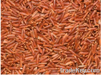 THAI JASMINE/RED RICE