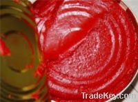 tomato paste with good quality and competitive price