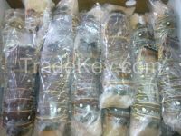 Sell-Frozen Spiny Lobster