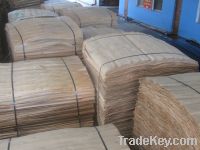 high quality eucalyptus veneer