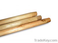 Sell Varnished Wooden Mop / Broom handle