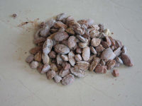 Magnesite Clinker