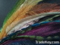 Sell natural ostrich feather