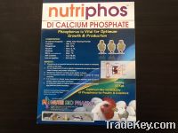 Dicalcium phosphate