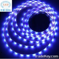 Crystal Housing LED Strip Light