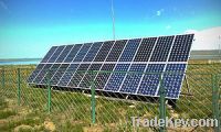 Sell  Poly Solar Panel