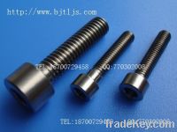 Titanium bolts