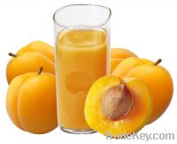 Huiyuan apricot puree concentrate