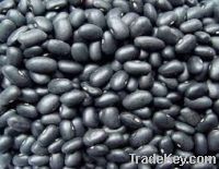 Sell black beans