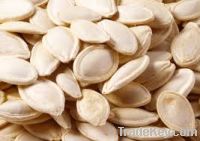 Sell Pumpkin Seeds