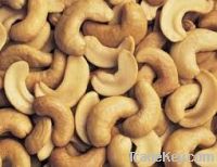 sell cashew nut