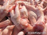 Sell Halal Frozen Chicken Feet/Paw