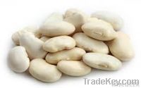 Lima Beans