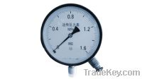 Remote differential pressure / pressure transmitter