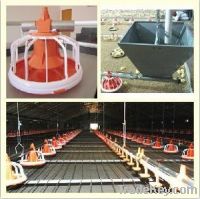 Sell Automatic Chain Type Poultry feeding system