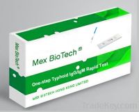 Sell one-step accurate Typhoid rapid test