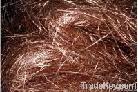 Sell Copper Scrap 99%