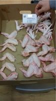 Processed Frozen Chicken Feet And Paw Grade A