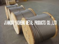 Sell Stainless Steel Wire Rope 19X7 / 18X7+FC