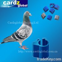 Sell RFID animal tag for pigeon and chicken and duck