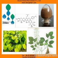 Sell epimedium extract with icariin HPLC40%, 60%, 80%, 98%