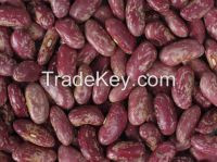 Light Speckled Kidney Beans